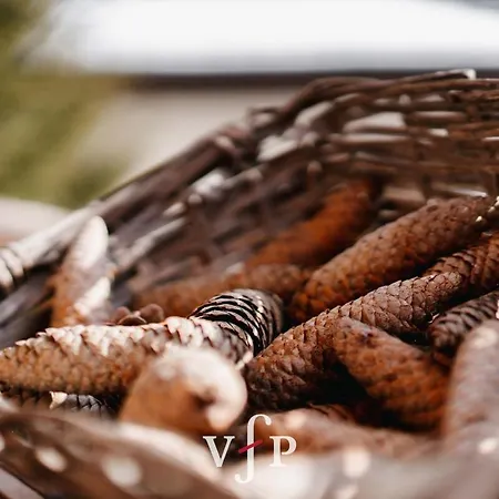 Trolles Appartement *